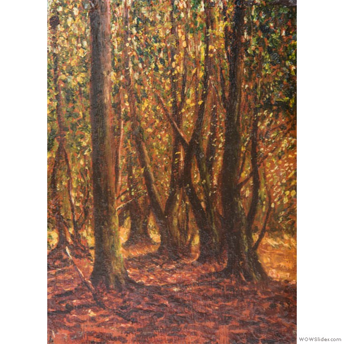 Trees in Backmuir woods